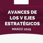 Avances de los V ejes estratégicos – Marzo