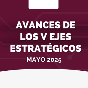 Avances de los V ejes estratégicos – Mayo