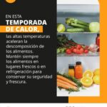 TEMPORADA DE CALOR- Descomposición de los alimentos