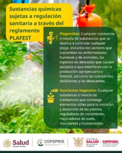 PLAFEST – Sustancias Químicas