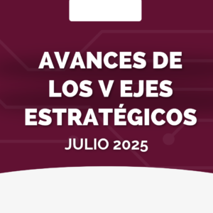 Avances de los V ejes estratégicos – Julio